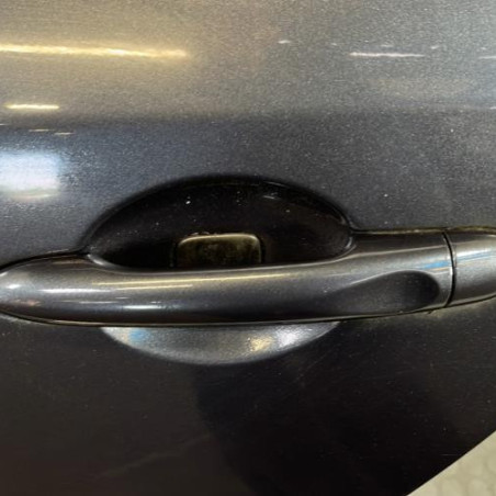 Porte arriere gauche RENAULT MEGANE 3