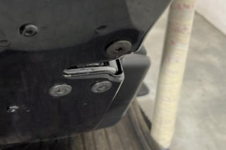 Porte arriere gauche RENAULT MEGANE 3