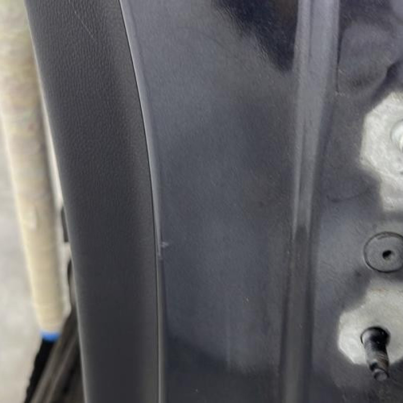 Porte arriere gauche RENAULT MEGANE 3 Photo n°4