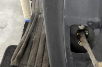 Porte arriere gauche RENAULT MEGANE 3