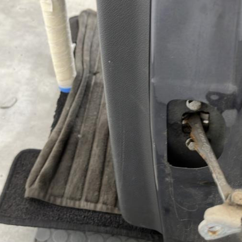 Porte arriere gauche RENAULT MEGANE 3 Photo n°5