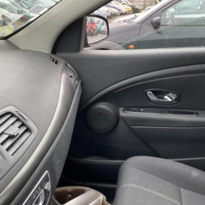 Porte arriere gauche RENAULT MEGANE 3 Photo n°10