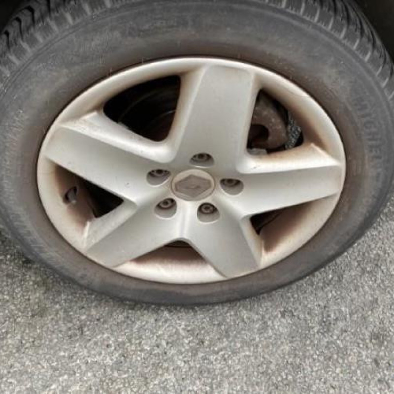 Porte arriere gauche RENAULT MEGANE 3 Photo n°12