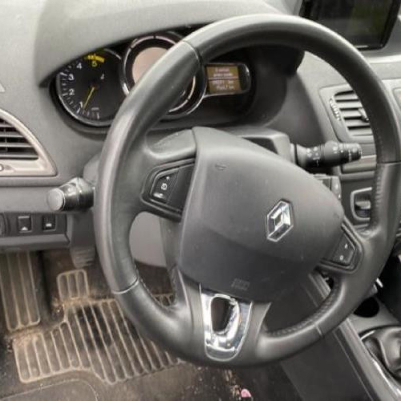 Porte arriere gauche RENAULT MEGANE 3 Photo n°13