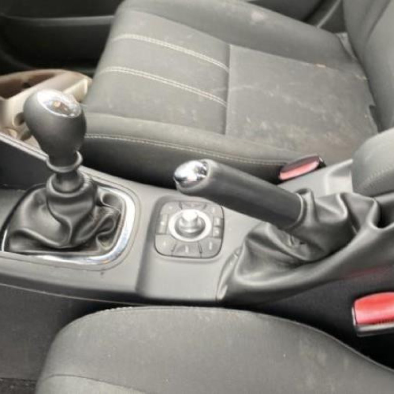 Porte arriere gauche RENAULT MEGANE 3 Photo n°20