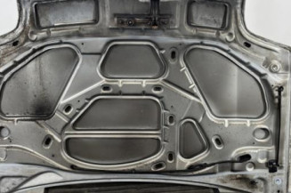 Capot RENAULT CLIO 2