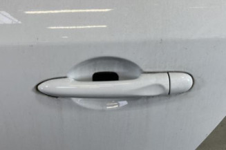 Porte arriere gauche RENAULT MEGANE 3