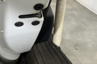 Porte arriere gauche RENAULT MEGANE 3