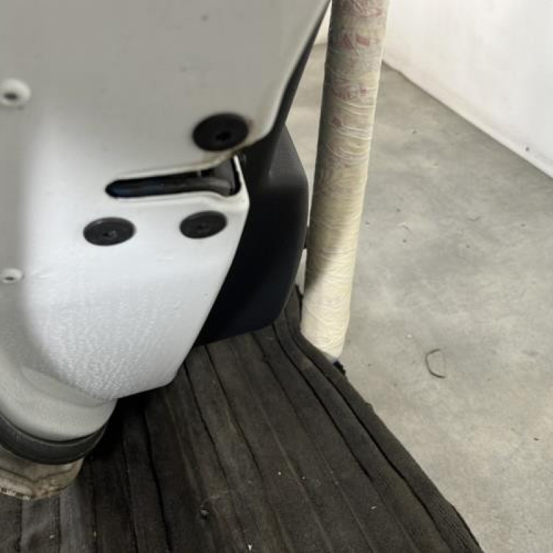 Porte arriere gauche RENAULT MEGANE 3 Photo n°3