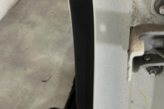 Porte arriere gauche RENAULT MEGANE 3
