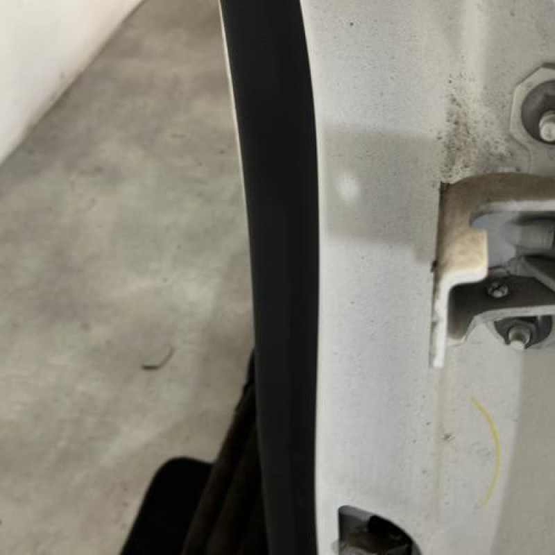 Porte arriere gauche RENAULT MEGANE 3 Photo n°4