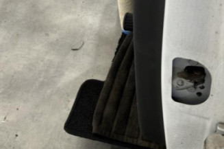 Porte arriere gauche RENAULT MEGANE 3