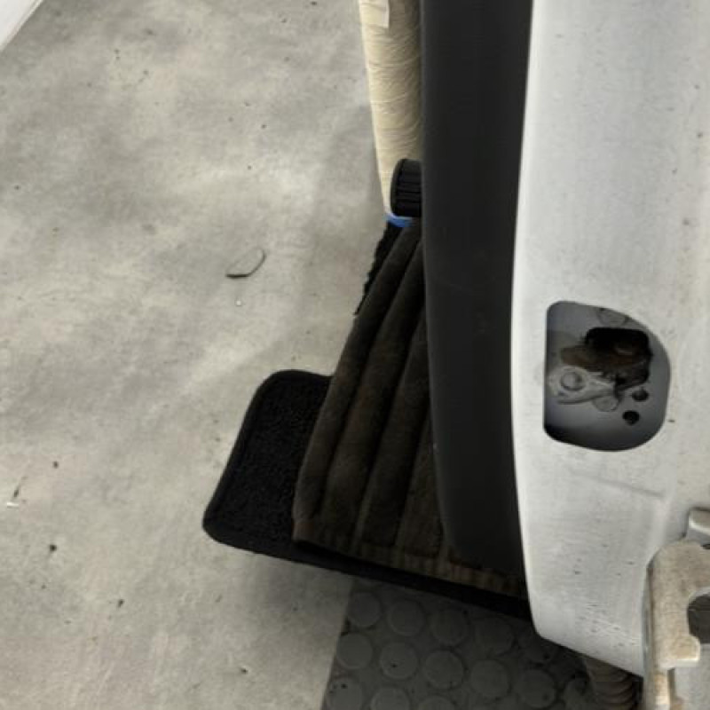Porte arriere gauche RENAULT MEGANE 3 Photo n°5