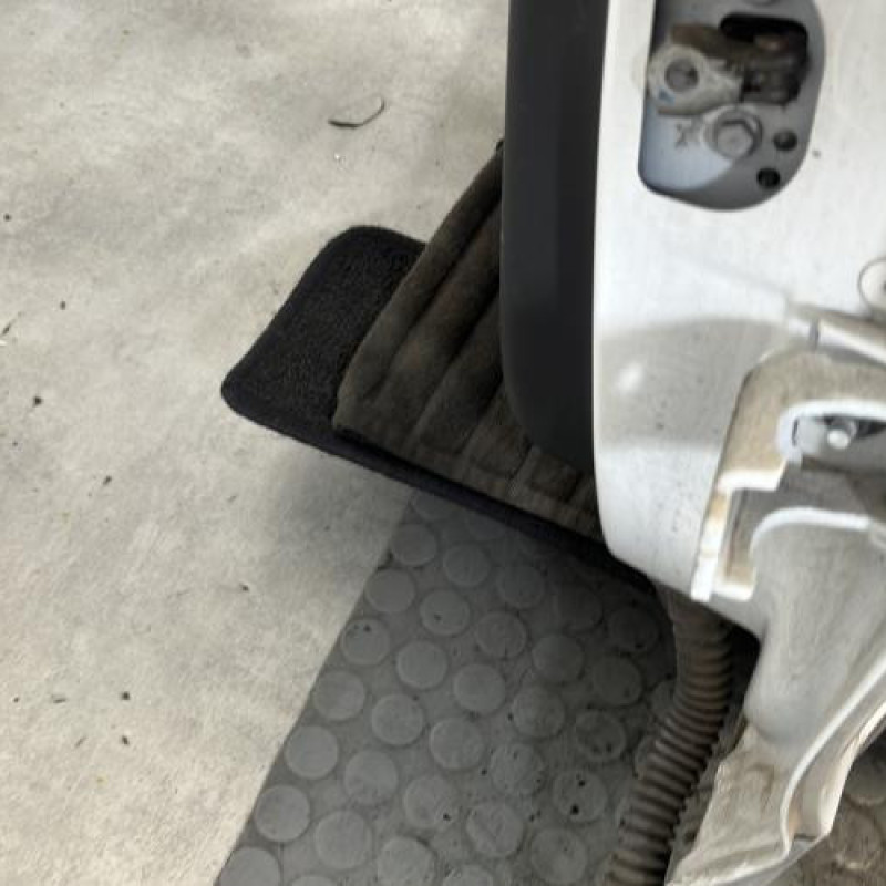 Porte arriere gauche RENAULT MEGANE 3 Photo n°6
