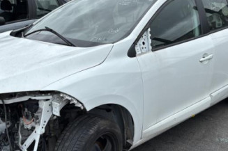 Porte arriere gauche RENAULT MEGANE 3