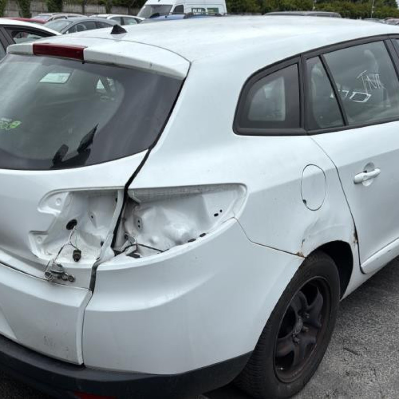 Porte arriere gauche RENAULT MEGANE 3 Photo n°10