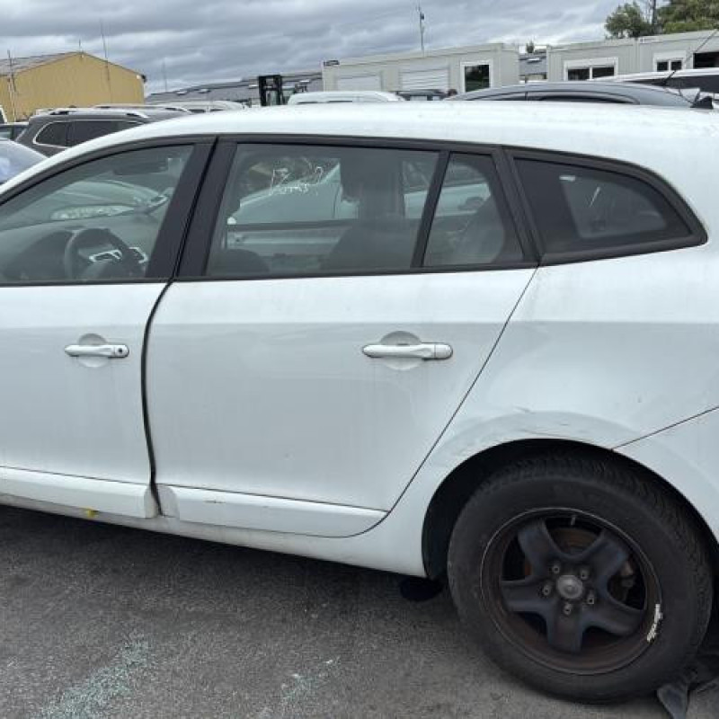 Porte arriere gauche RENAULT MEGANE 3 Photo n°13