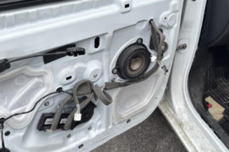 Porte arriere gauche RENAULT MEGANE 3