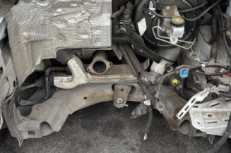 Porte arriere gauche RENAULT MEGANE 3