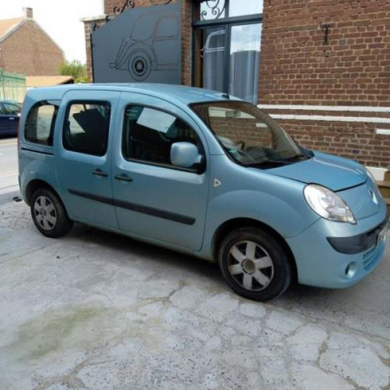 Porte avant droit RENAULT KANGOO 2 Photo n°9