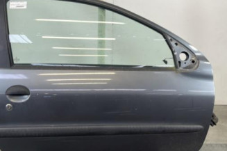Porte avant droit PEUGEOT 206 Photo n°1