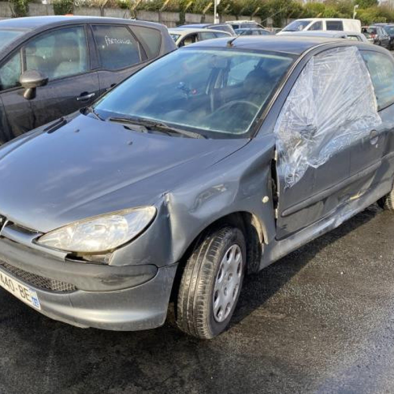 Porte avant droit PEUGEOT 206 Photo n°7