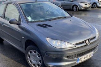 Porte avant droit PEUGEOT 206