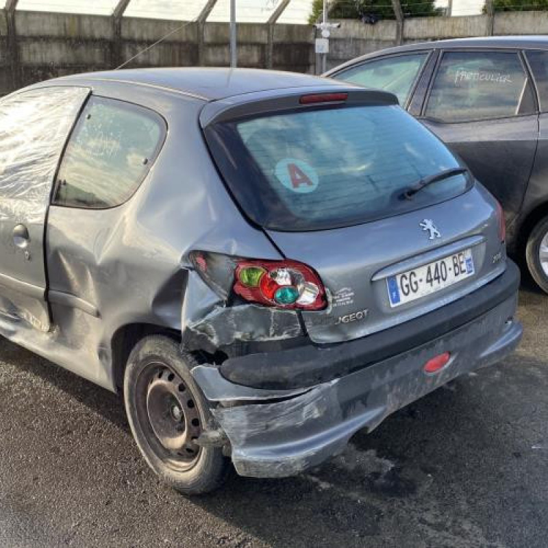 Porte avant droit PEUGEOT 206 Photo n°10