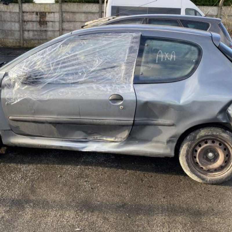 Porte avant droit PEUGEOT 206 Photo n°12