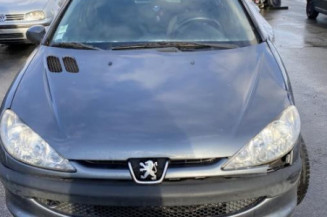 Porte avant droit PEUGEOT 206