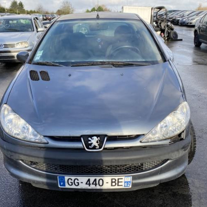 Porte avant droit PEUGEOT 206 Photo n°14