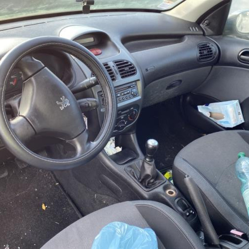 Porte avant droit PEUGEOT 206 Photo n°18