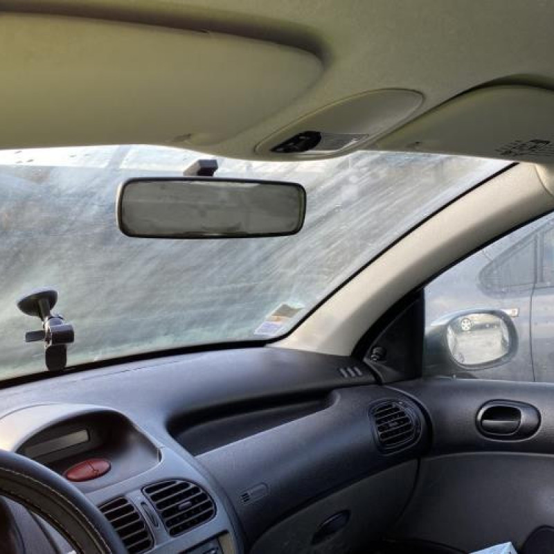 Porte avant droit PEUGEOT 206 Photo n°19