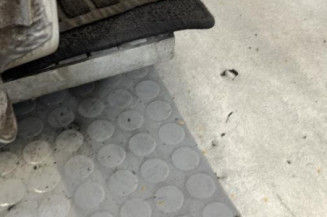 Porte avant droit RENAULT CLIO 2