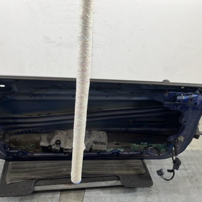 Porte avant gauche MINI MINI 2 R56 Photo n°5