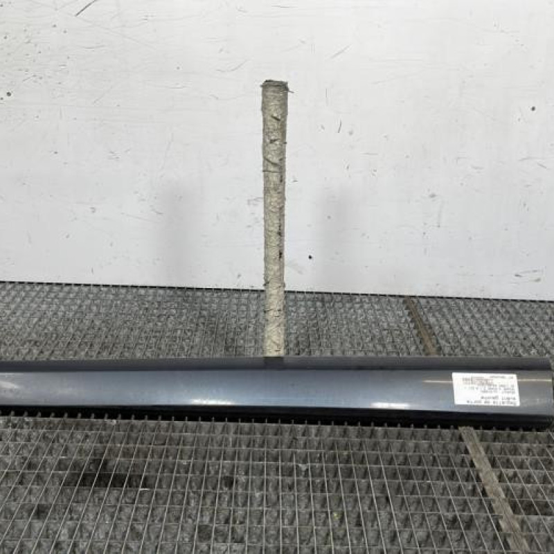 Baguette de porte avant gauche RENAULT MEGANE 3 Photo n°1