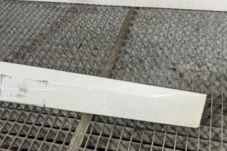 Baguette de porte avant droite RENAULT MEGANE 3