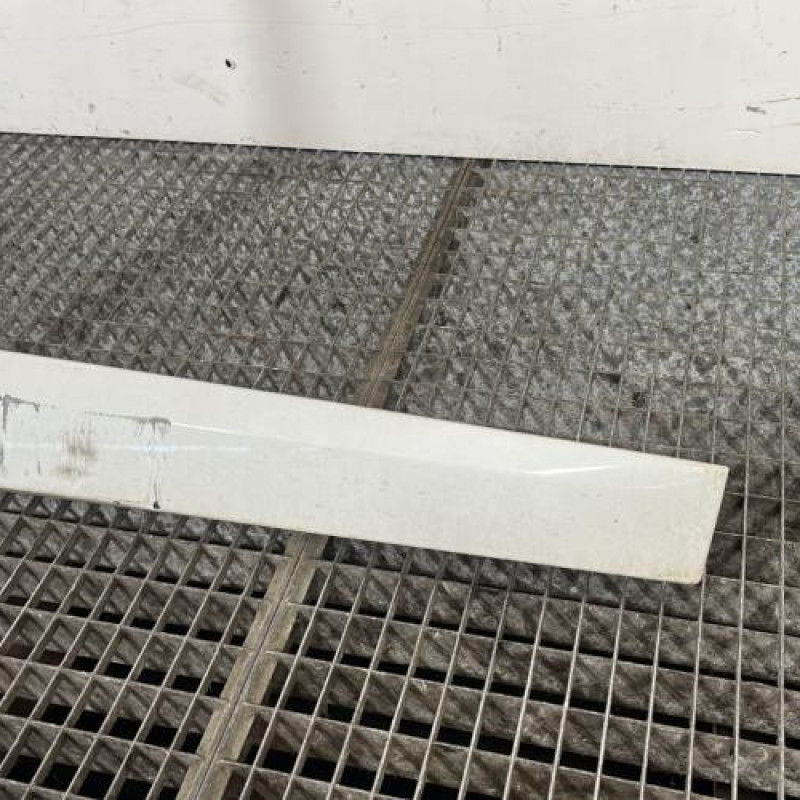 Baguette de porte avant droite RENAULT MEGANE 3 Photo n°3