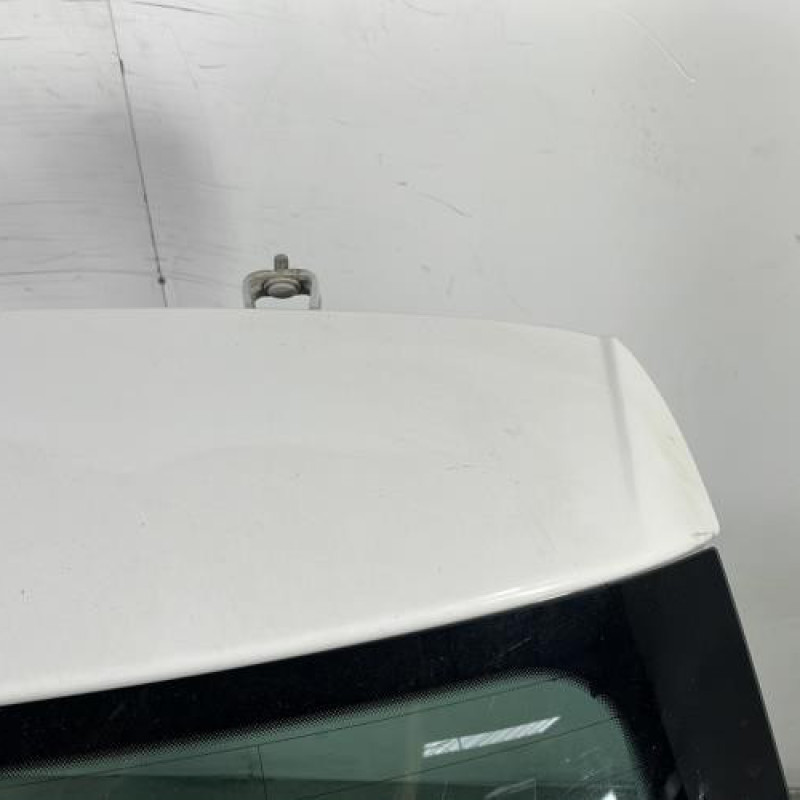 Malle/Hayon arriere VOLKSWAGEN POLO 5 Photo n°3