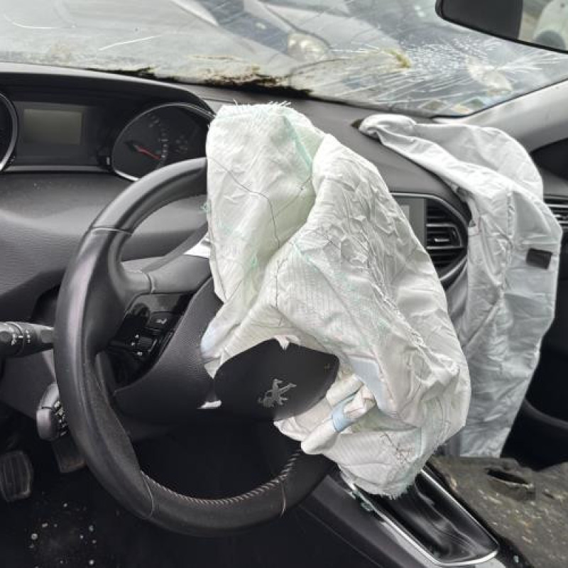 Custode arriere droit (porte) PEUGEOT 308 2 Photo n°14