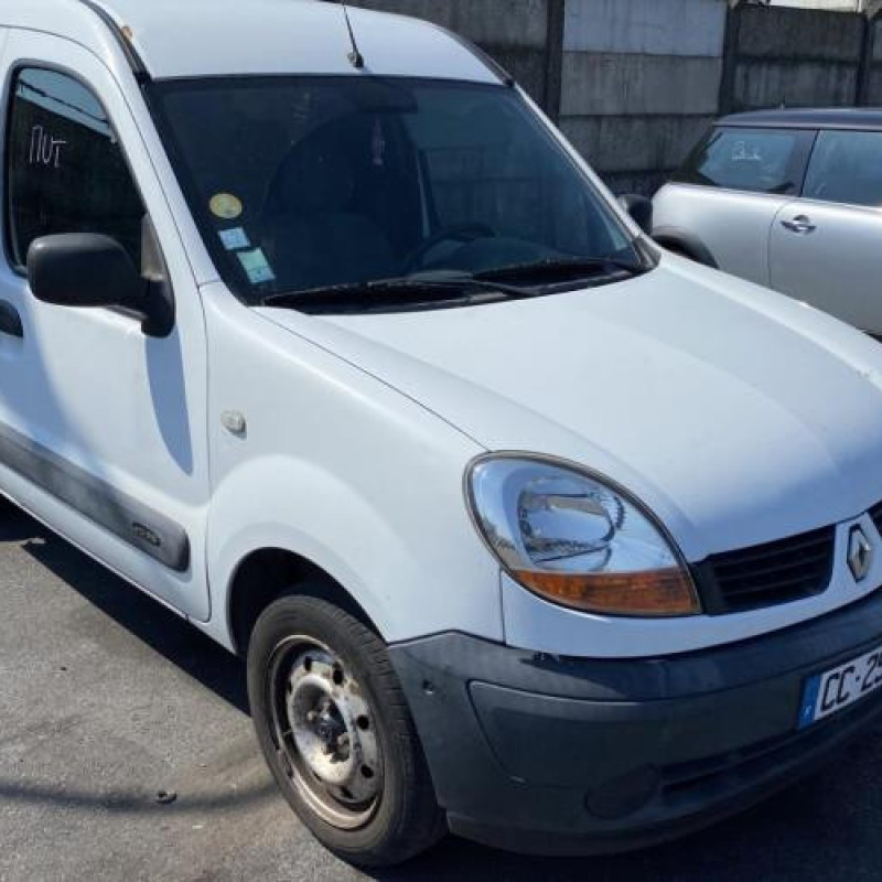 Porte avant droit RENAULT KANGOO 1 Photo n°8
