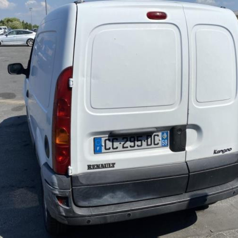 Porte avant droit RENAULT KANGOO 1 Photo n°9