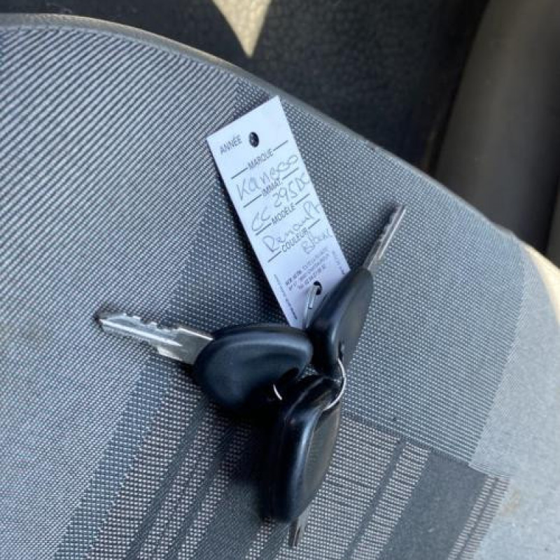 Porte avant droit RENAULT KANGOO 1 Photo n°12