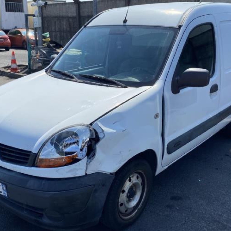 Porte avant droit RENAULT KANGOO 1 Photo n°15