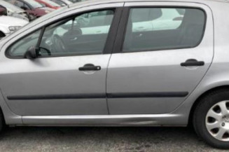 Porte avant gauche PEUGEOT 307
