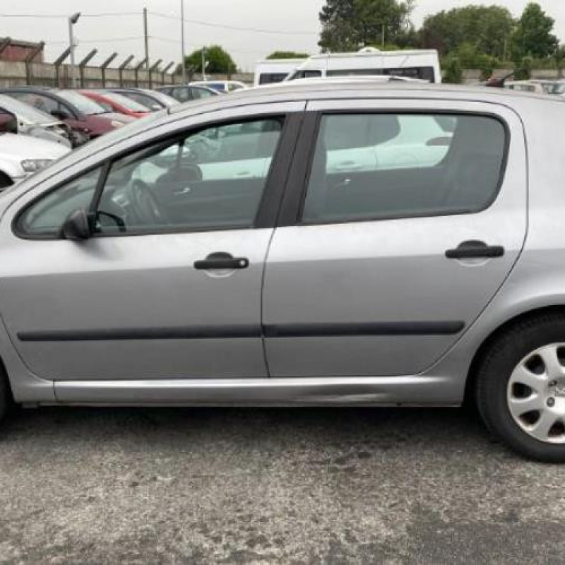 Porte avant gauche PEUGEOT 307 Photo n°7