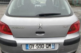 Porte avant gauche PEUGEOT 307