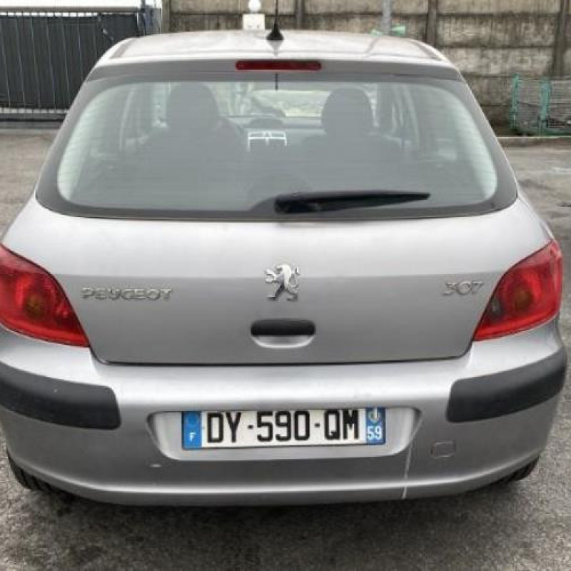 Porte avant gauche PEUGEOT 307 Photo n°10