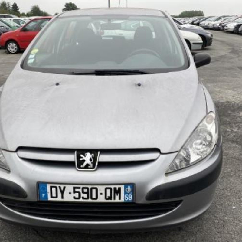 Porte avant gauche PEUGEOT 307 Photo n°11