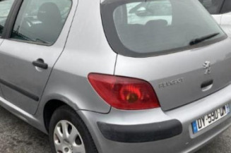 Porte avant gauche PEUGEOT 307